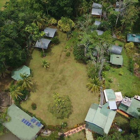 Lirio Lodge Barra de Pacuare Εξωτερικό φωτογραφία