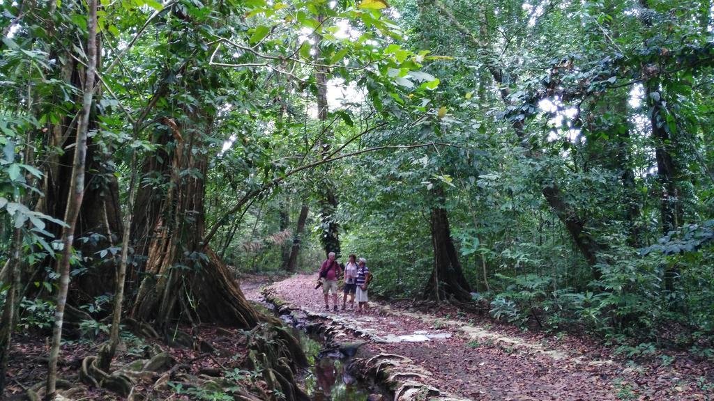 Lirio Lodge Barra de Pacuare Εξωτερικό φωτογραφία