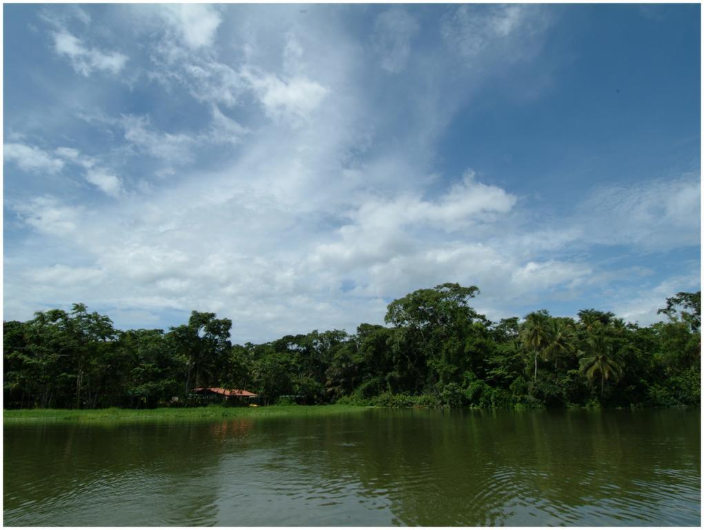 Lirio Lodge Barra de Pacuare Εξωτερικό φωτογραφία
