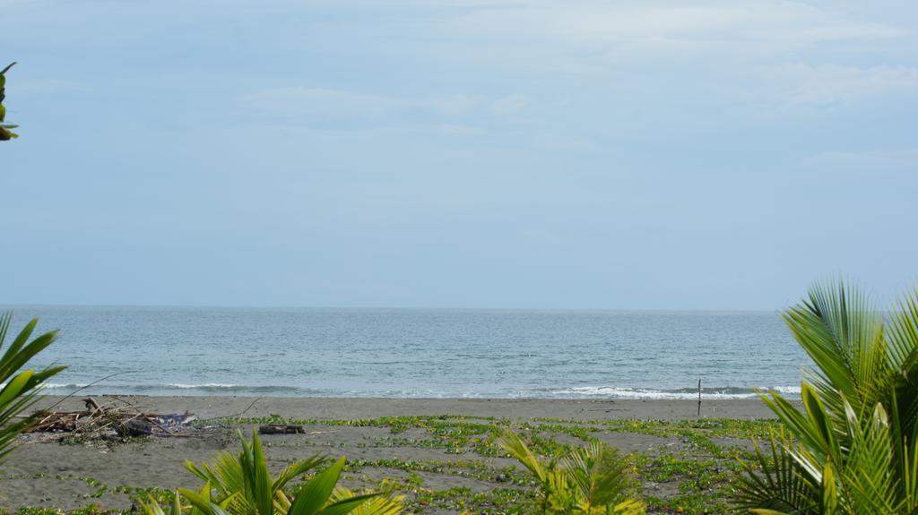 Lirio Lodge Barra de Pacuare Εξωτερικό φωτογραφία