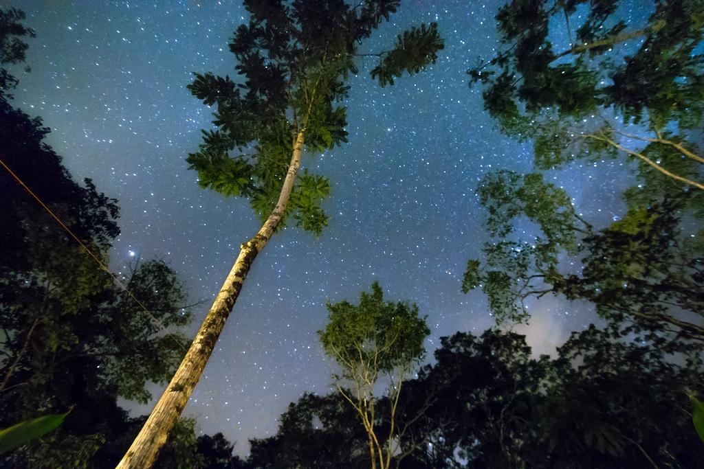 Lirio Lodge Barra de Pacuare Εξωτερικό φωτογραφία
