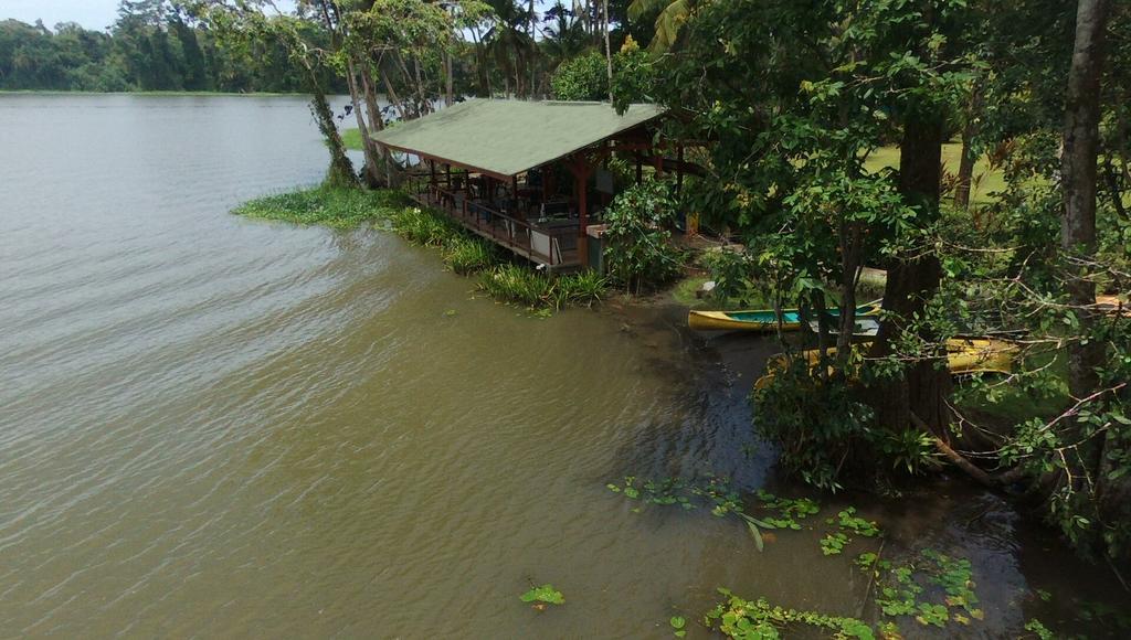 Lirio Lodge Barra de Pacuare Εξωτερικό φωτογραφία