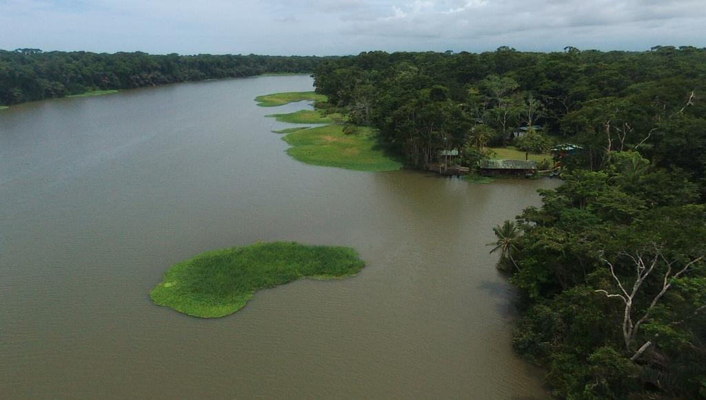 Lirio Lodge Barra de Pacuare Εξωτερικό φωτογραφία