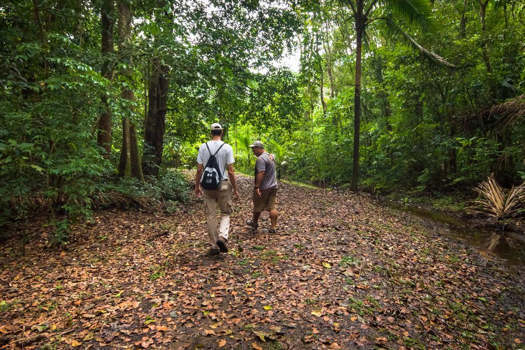 Lirio Lodge Barra de Pacuare Εξωτερικό φωτογραφία