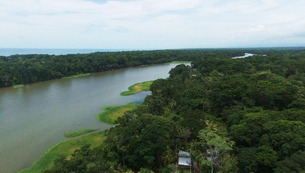 Lirio Lodge Barra de Pacuare Εξωτερικό φωτογραφία