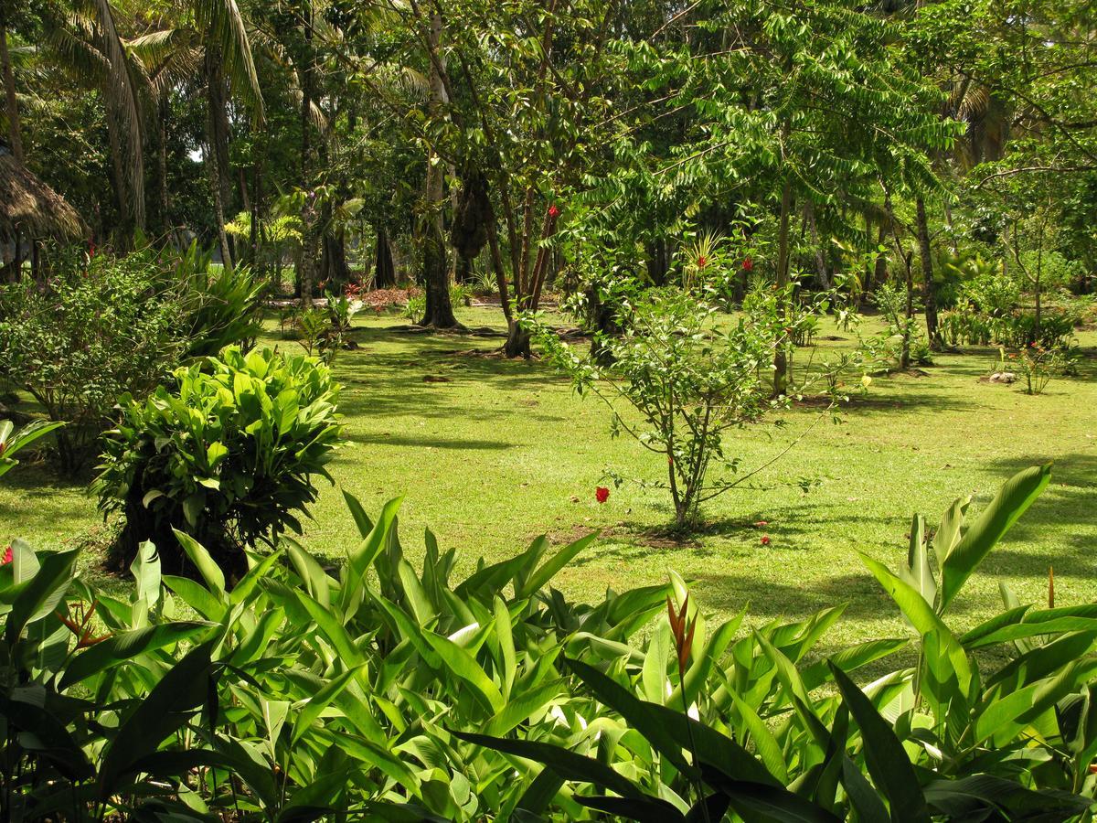 Lirio Lodge Barra de Pacuare Εξωτερικό φωτογραφία