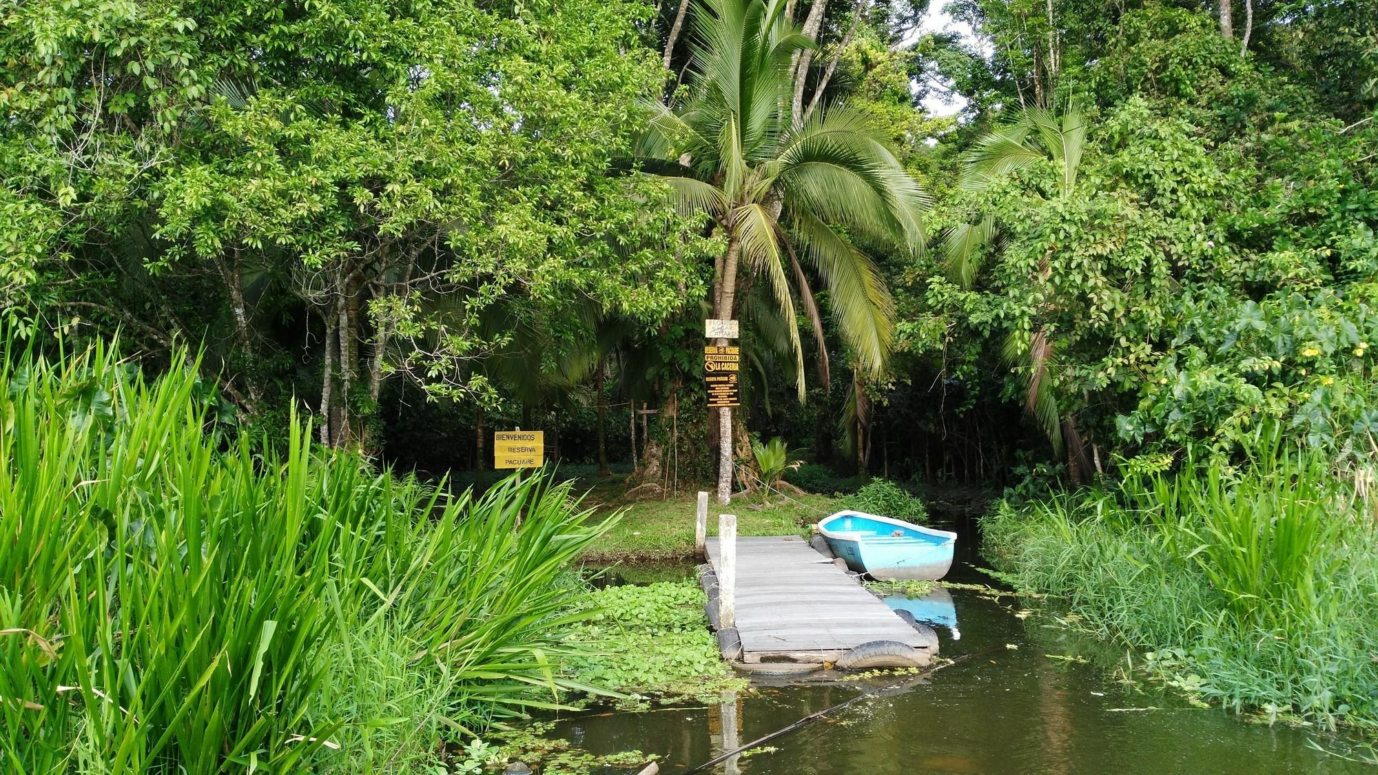 Lirio Lodge Barra de Pacuare Εξωτερικό φωτογραφία