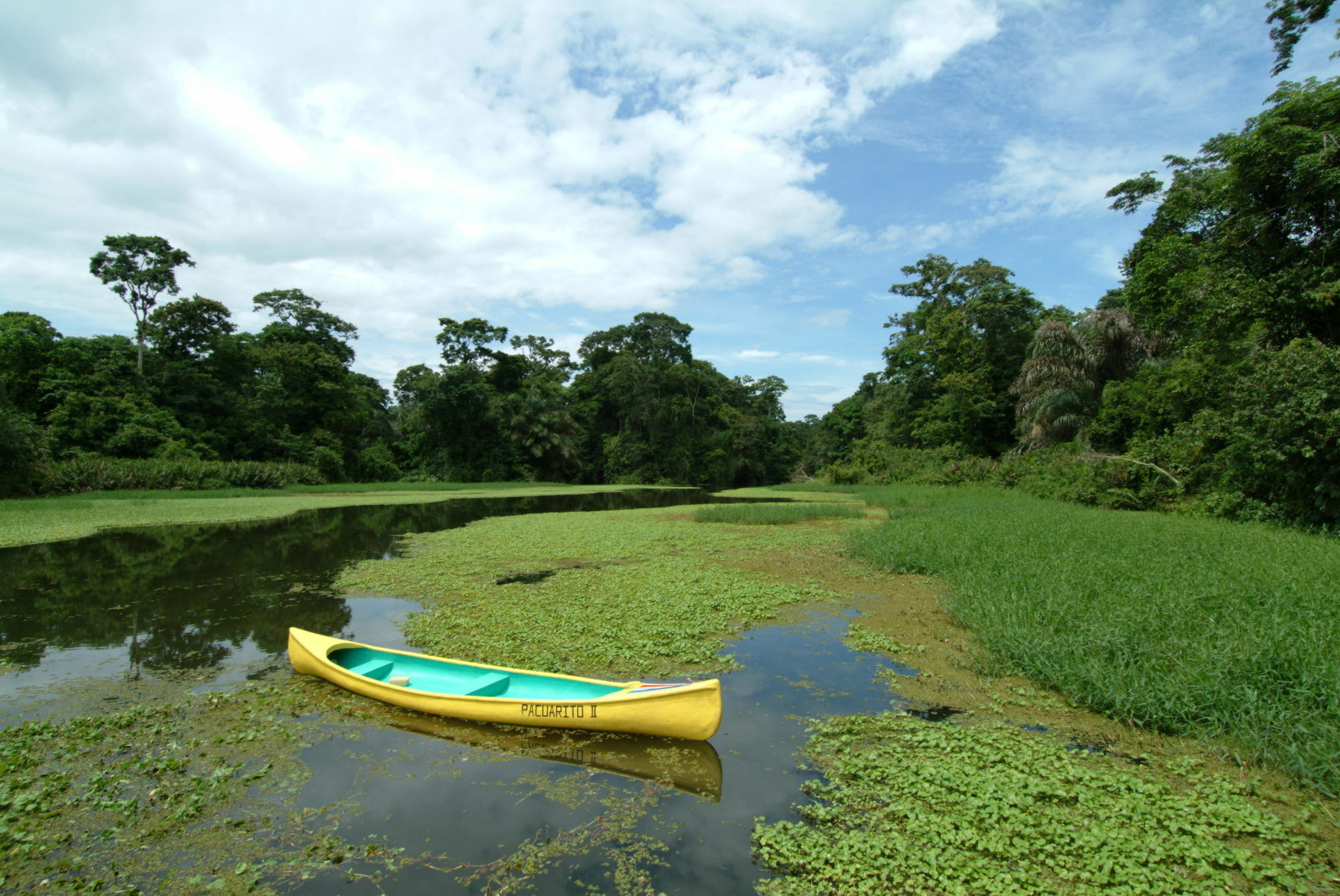 Lirio Lodge Barra de Pacuare Εξωτερικό φωτογραφία