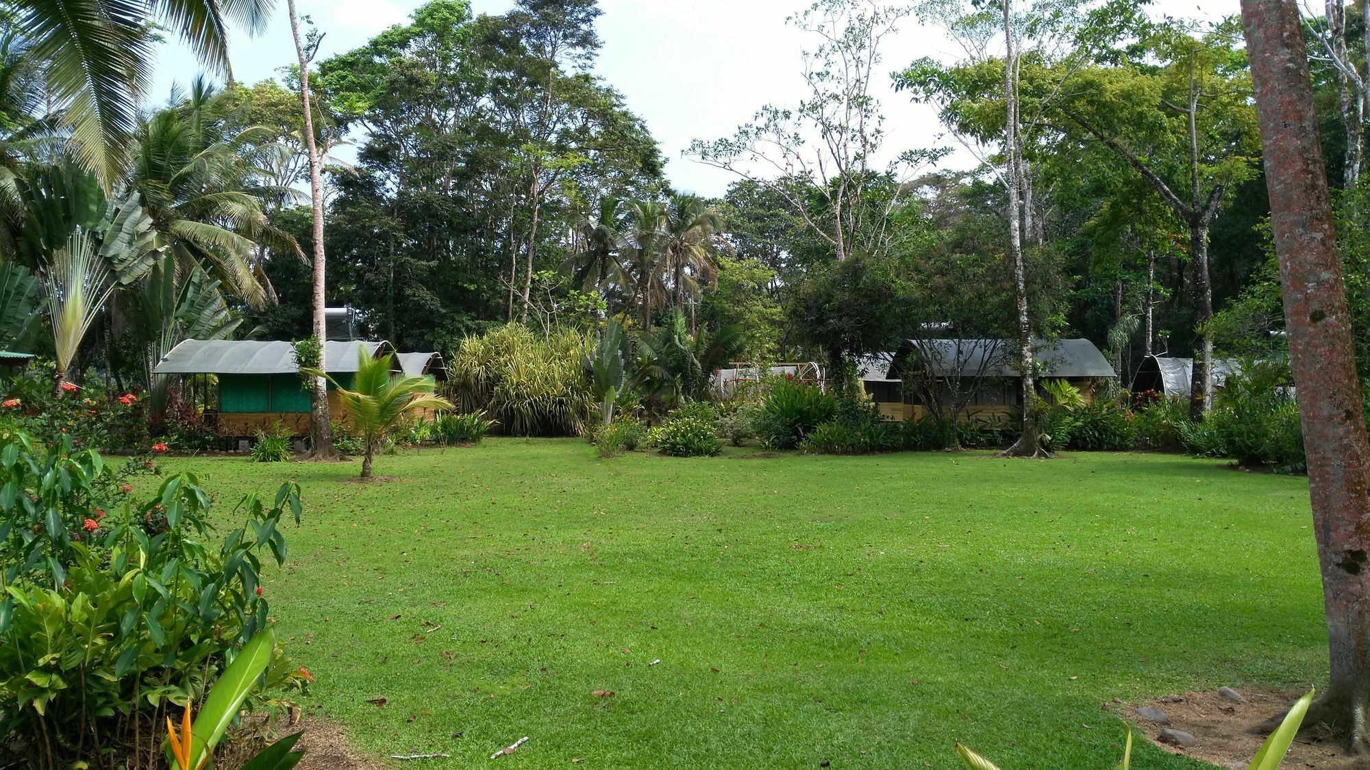 Lirio Lodge Barra de Pacuare Εξωτερικό φωτογραφία
