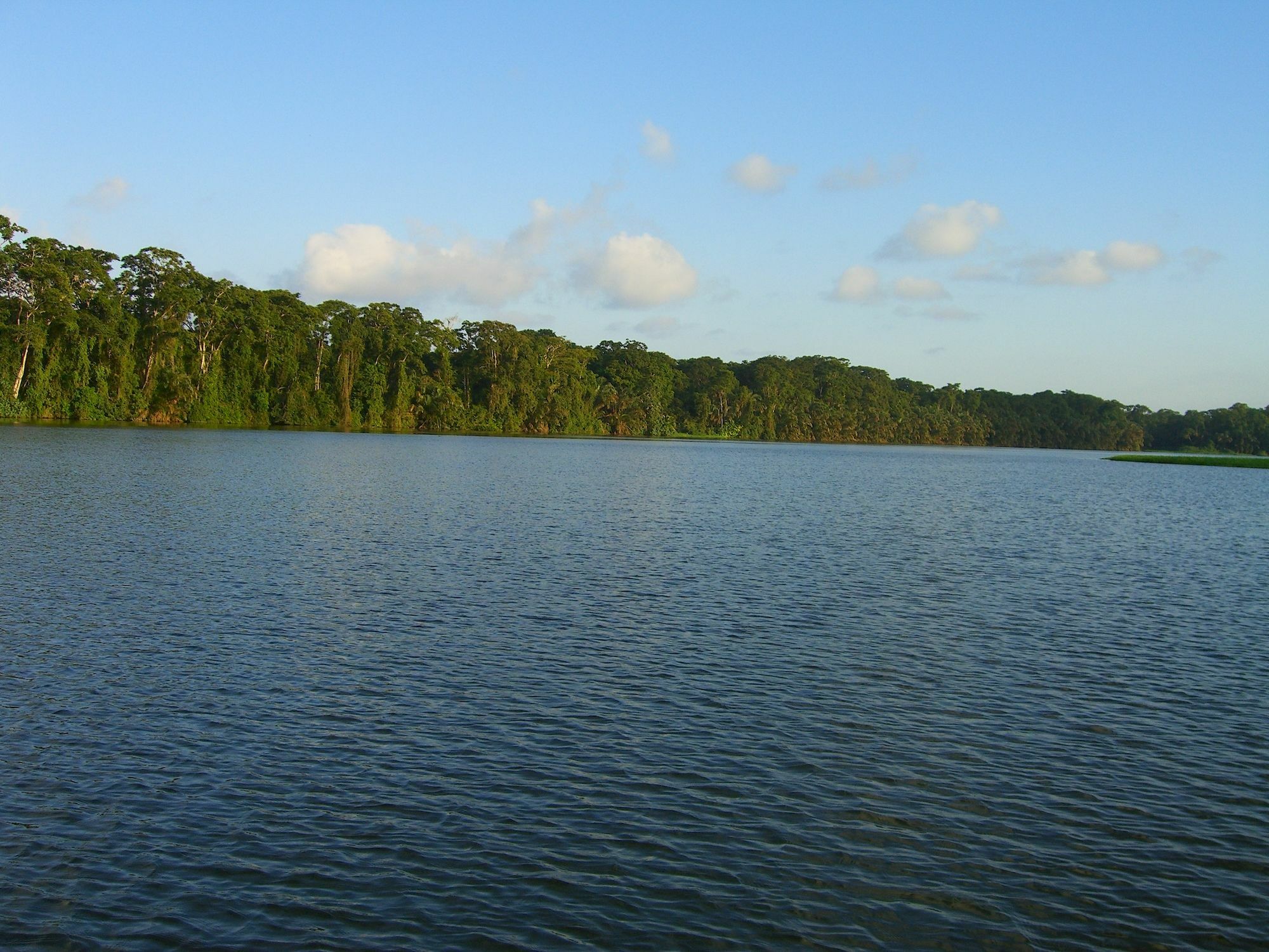 Lirio Lodge Barra de Pacuare Εξωτερικό φωτογραφία