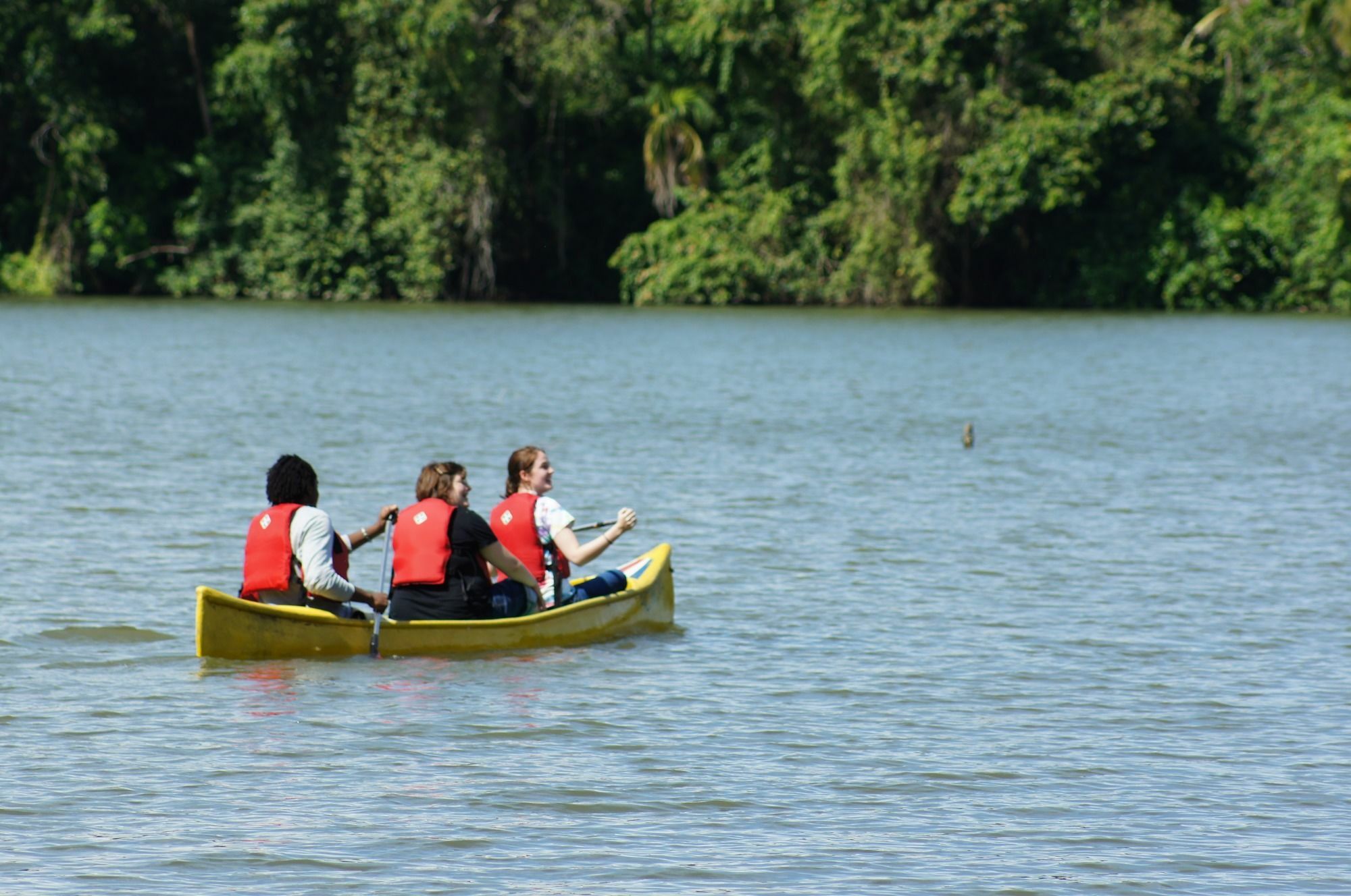 Lirio Lodge Barra de Pacuare Εξωτερικό φωτογραφία