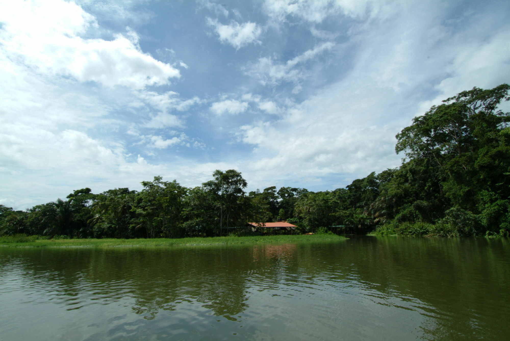 Lirio Lodge Barra de Pacuare Εξωτερικό φωτογραφία