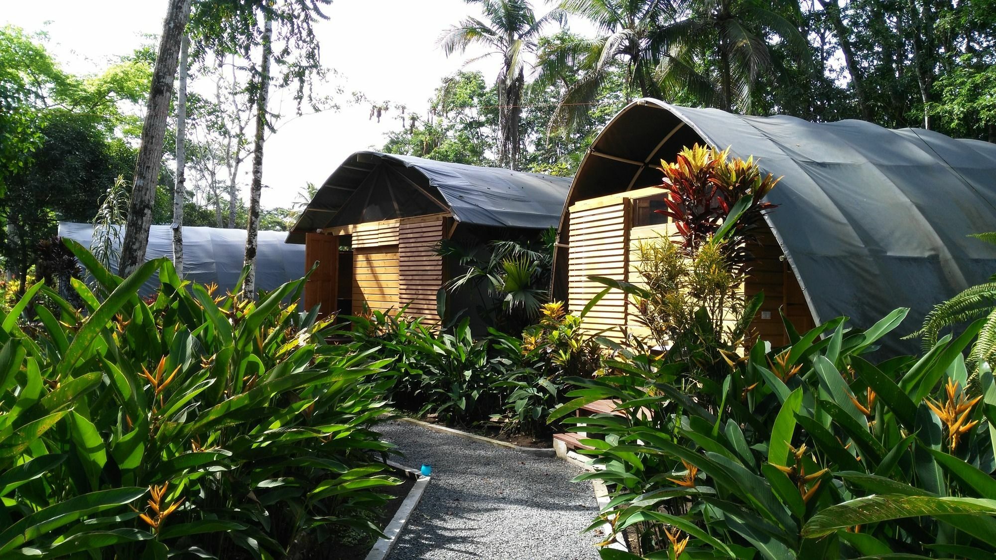 Lirio Lodge Barra de Pacuare Εξωτερικό φωτογραφία
