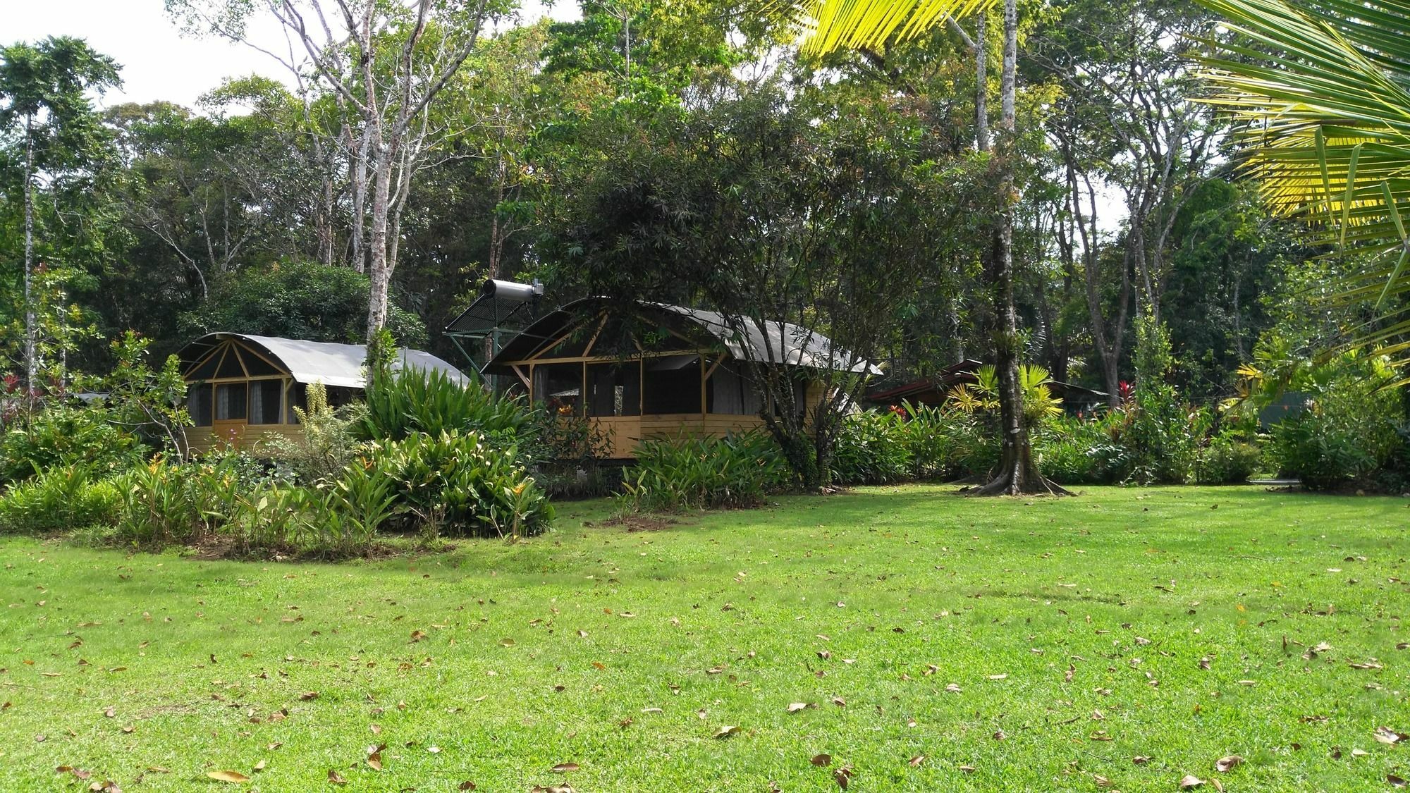 Lirio Lodge Barra de Pacuare Εξωτερικό φωτογραφία