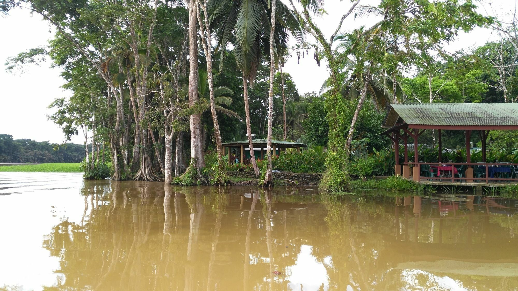 Lirio Lodge Barra de Pacuare Εξωτερικό φωτογραφία