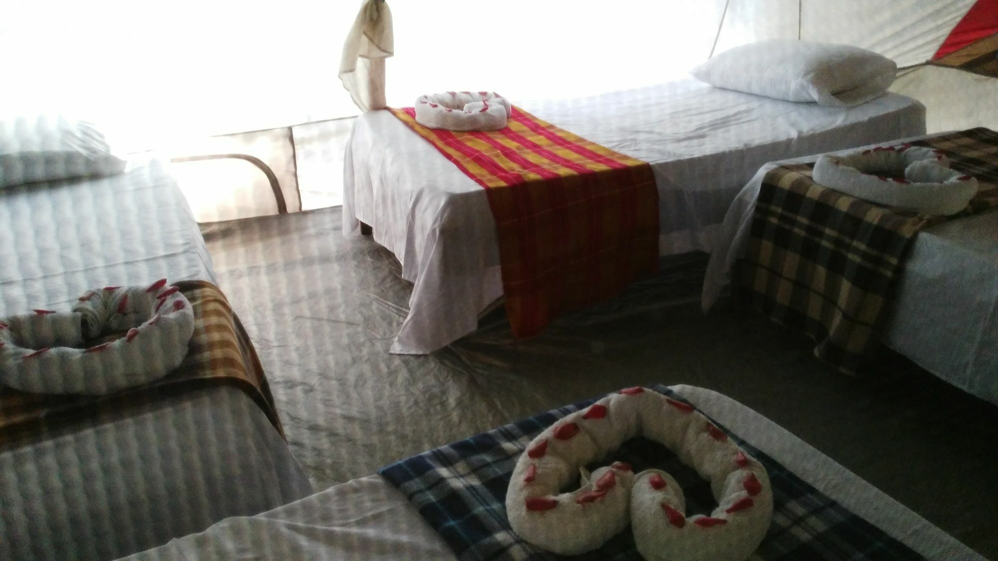 Lirio Lodge Barra de Pacuare Εξωτερικό φωτογραφία